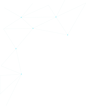 Botneo